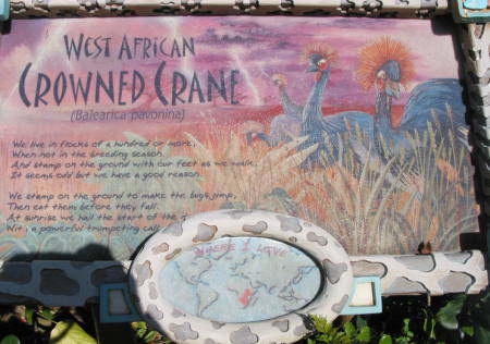 Animal Kingdom Signage for West African Crowned Crane