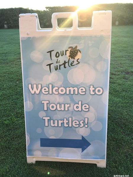 10th Annual Tour De Turtles at Disney's Vero Beach