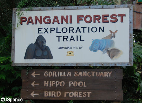 Pangani Forest Exploration Trail Sign