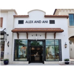 Alex and Ani Disney Springs Town Center