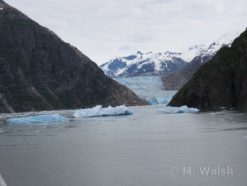 Disney Alaska Cruise Icebergs