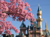 Disneyland Wallpaper Sleeping Beauty Castle with flowers