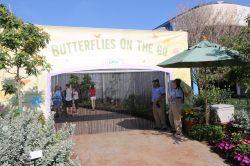 Butterflies on the Go Epcot Flower and Garden Festival