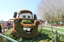 Cactus Road Rally Epcot Flower and Garden Festival