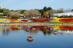 Epcot Flower and Garden Festival Blooms