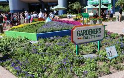 gardeners-palette