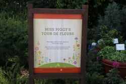 Miss Piggy Epcot Flower and Garden Festival