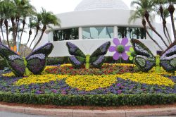 Epcot Flower and Garden Festival  Butterfly Topiaries