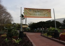 Cactus Road Rally