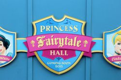 Princess Fairytale Hall - Magic Kingdom