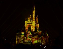 Once Upon a Time at the Magic Kingdom