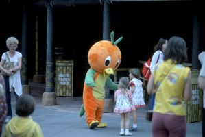 The Orange Bird in the Magic Kingdom